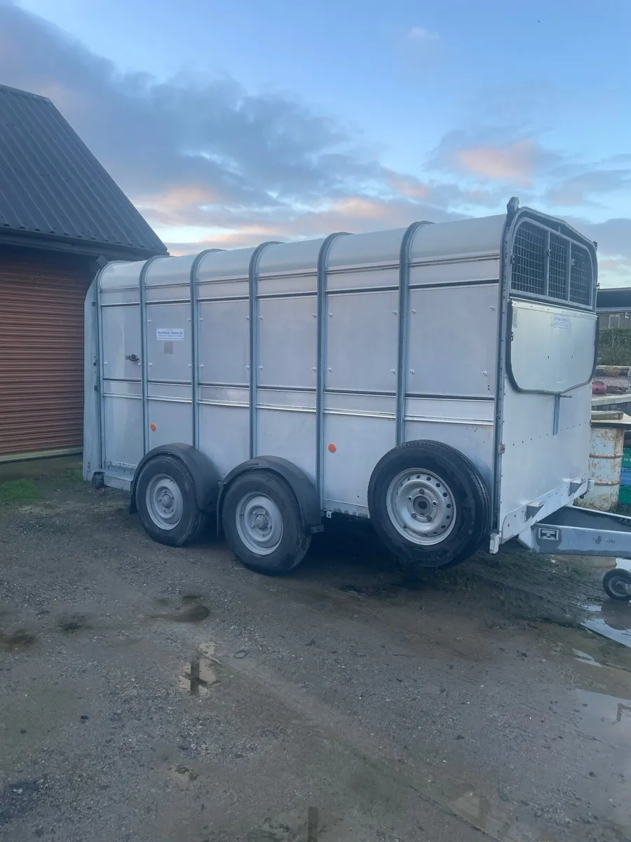2022 Ifor Williams 12x6 Cattle trailer - Image 3