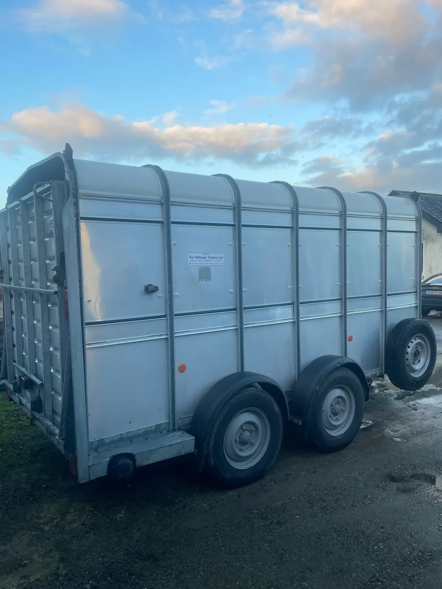 2022 Ifor Williams 12x6 Cattle trailer - Image 4