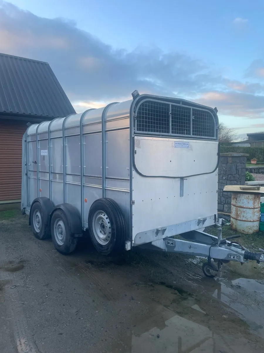 2022 Ifor Williams 12x6 Cattle trailer - Image 1