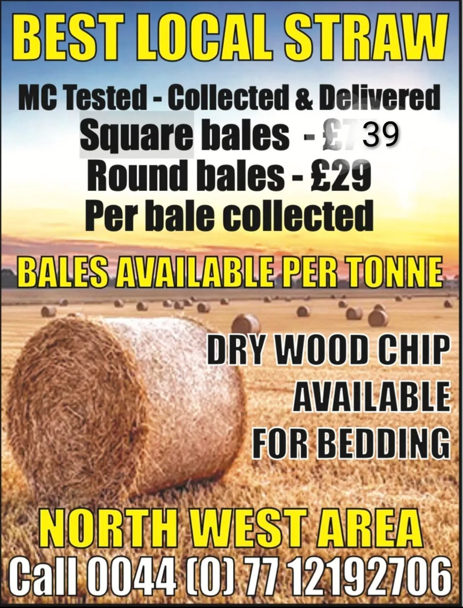 Straw wheat barley Square round bales - Image 1