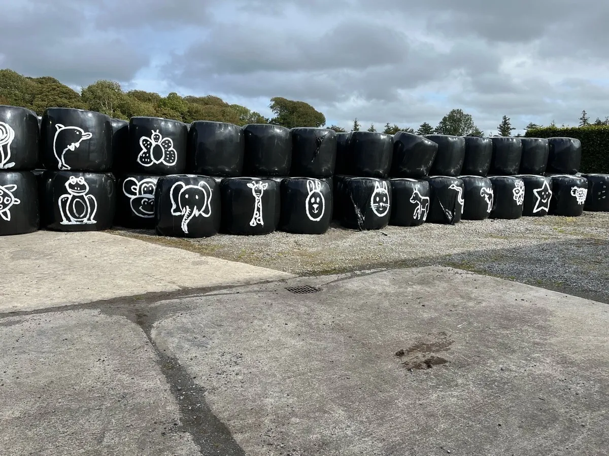 Hay and haylage - Image 3