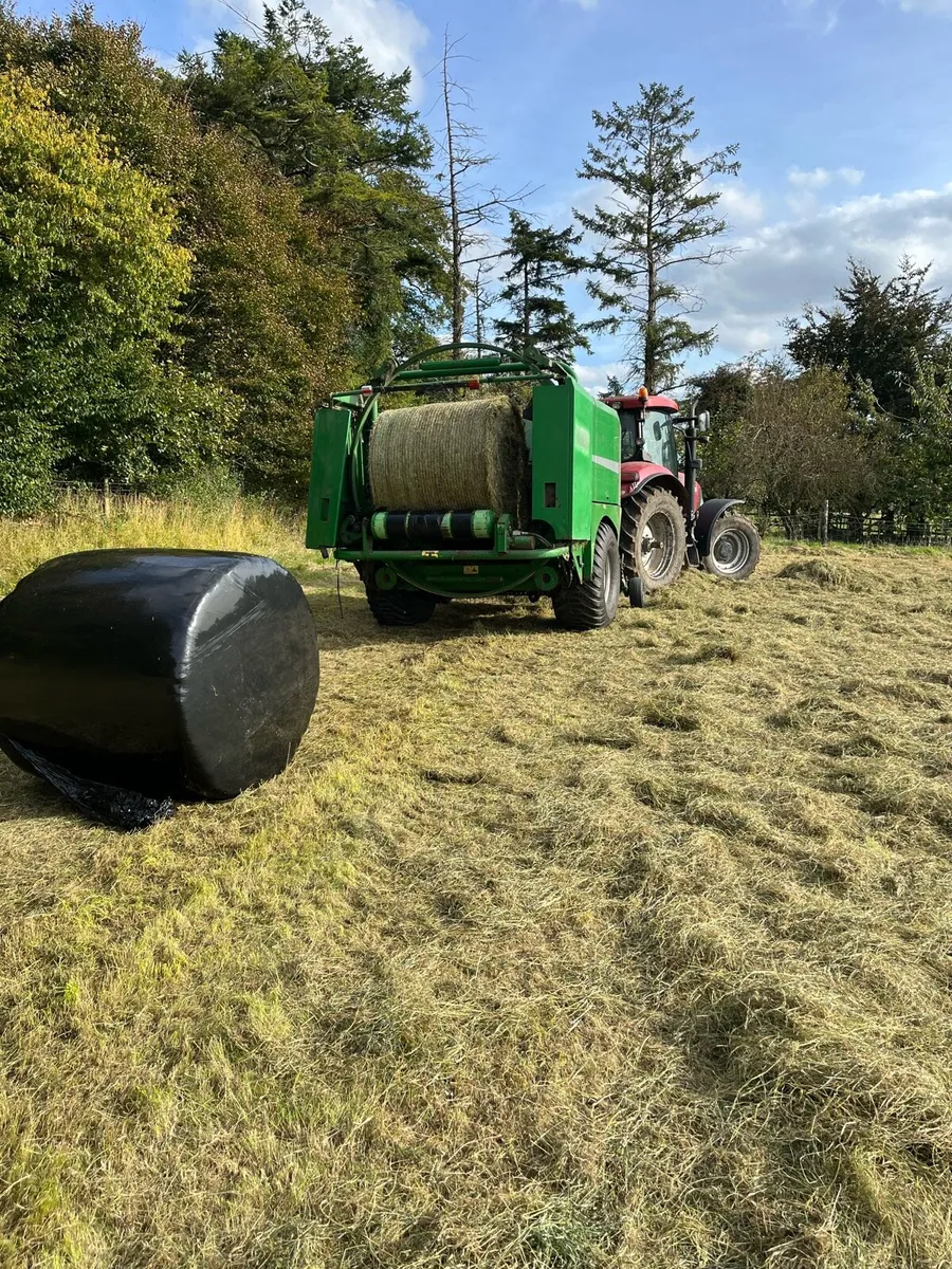 Hay and haylage - Image 4