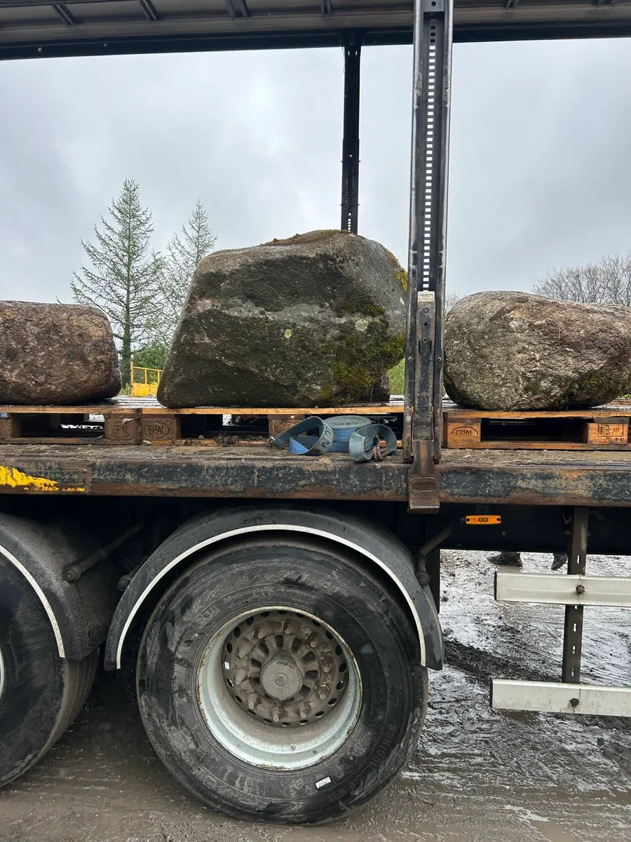 20 large Glacial Granite Round Landscape Boulders - Image 4