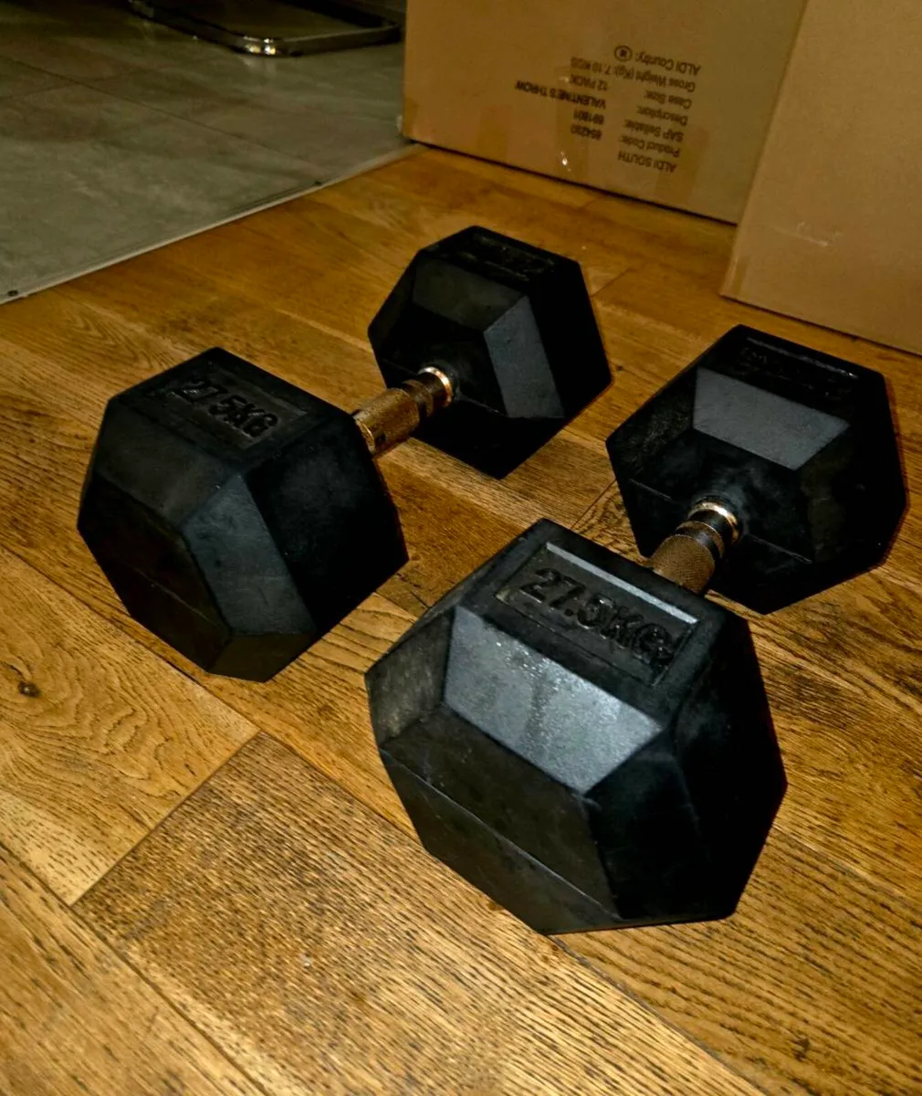 Hex Dumbells (Set of 2) 27.5kg each - Image 1