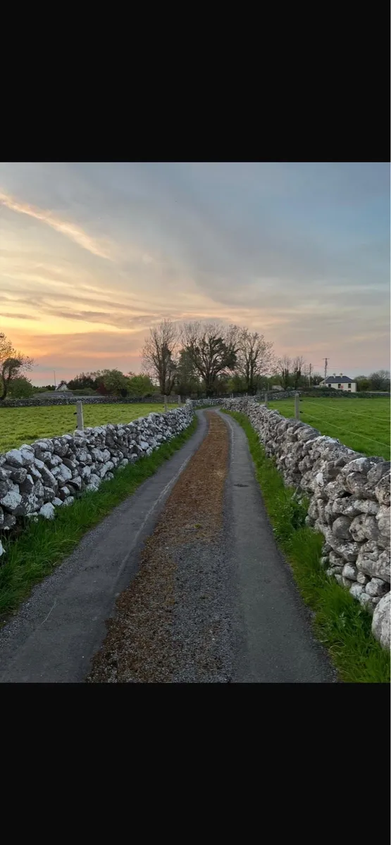 Handyman Needed - Walls - Image 1