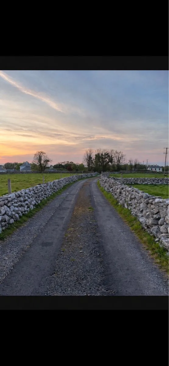 Handyman Needed - Walls - Image 3