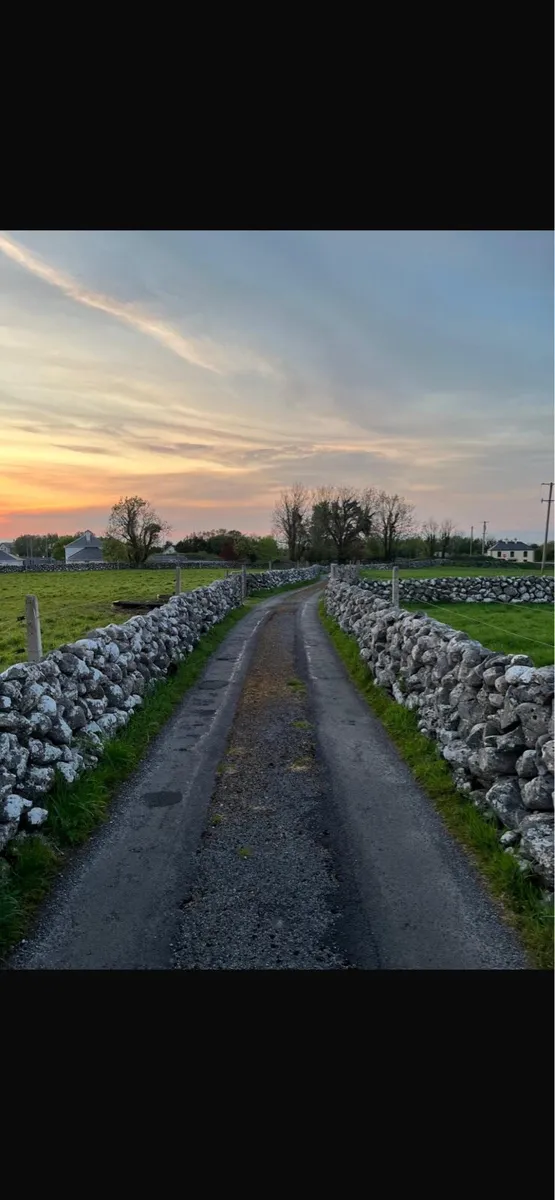 Handyman Needed - Walls - Image 2