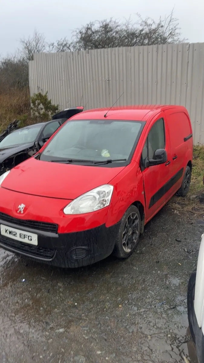 Berlingo and partner for breaking red and white - Image 4