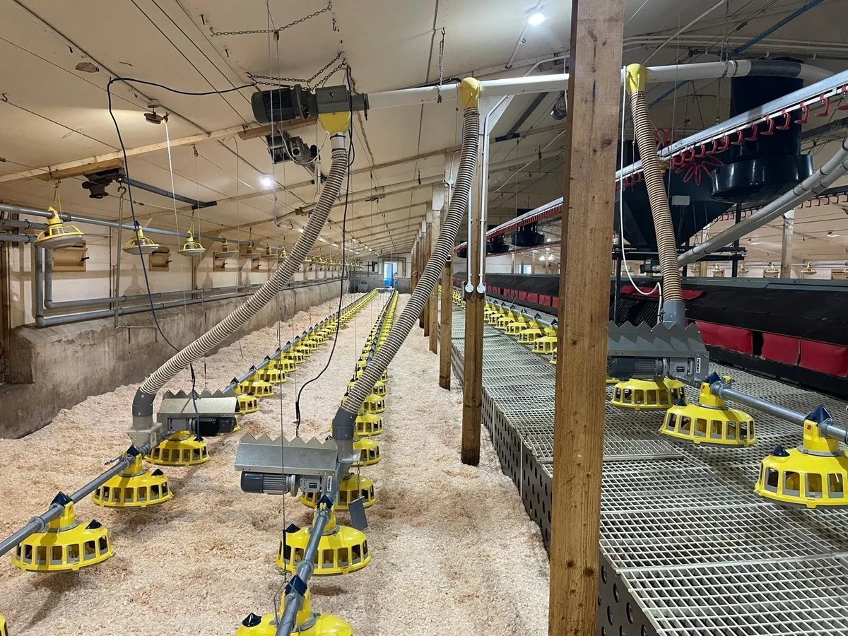 Poultry Equipment for sale - Image 3