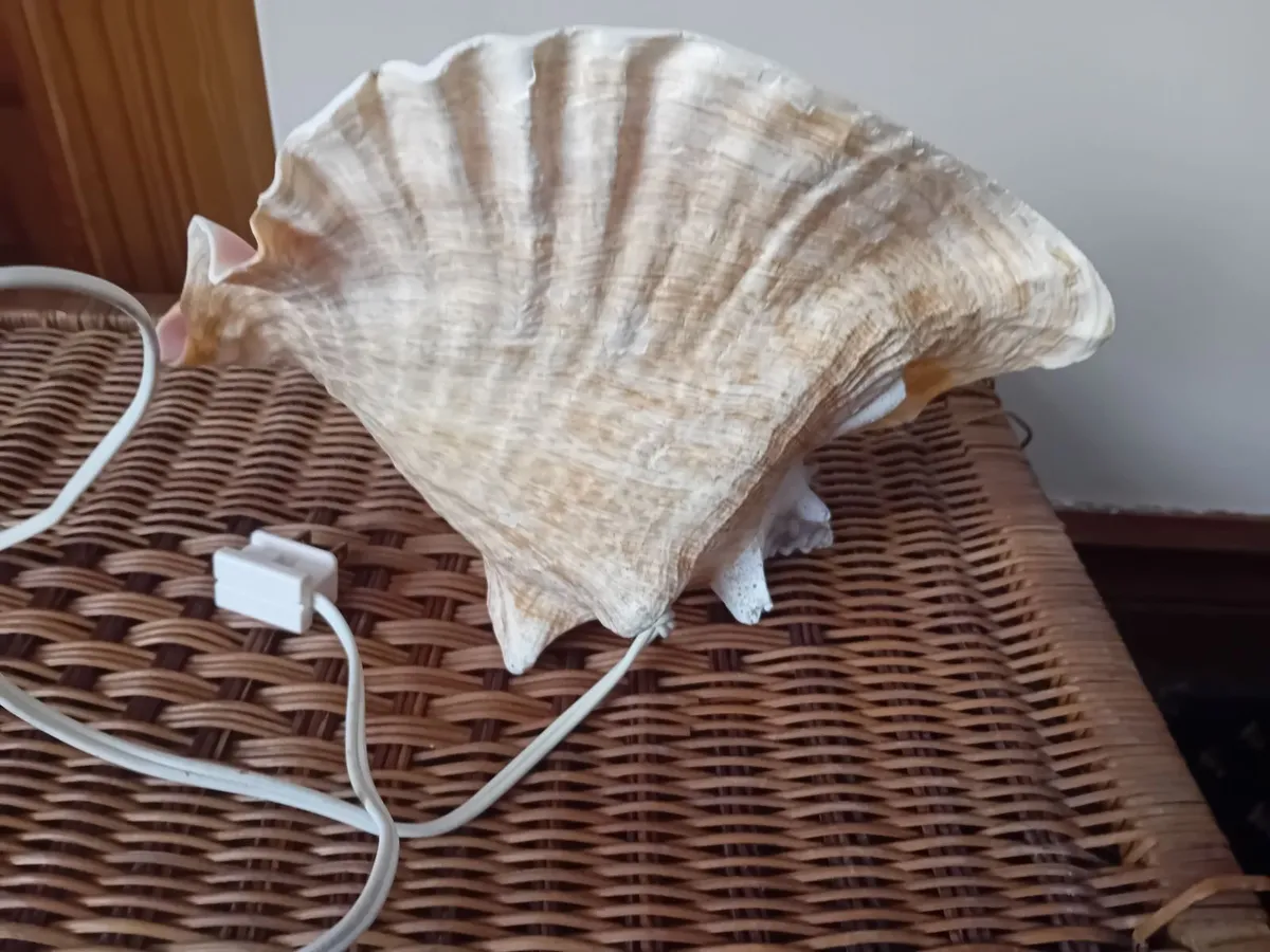 Puerto Rico shell lamp - Image 3