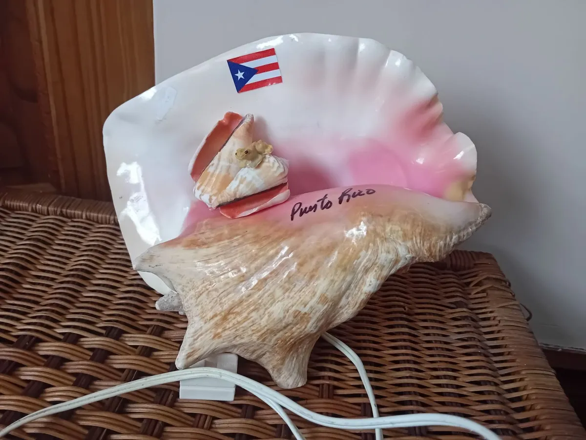 Puerto Rico shell lamp - Image 4
