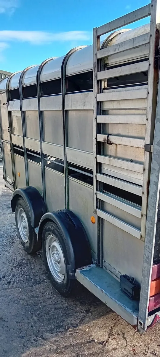 Ivfor Williams 12 by 5 - Image 2