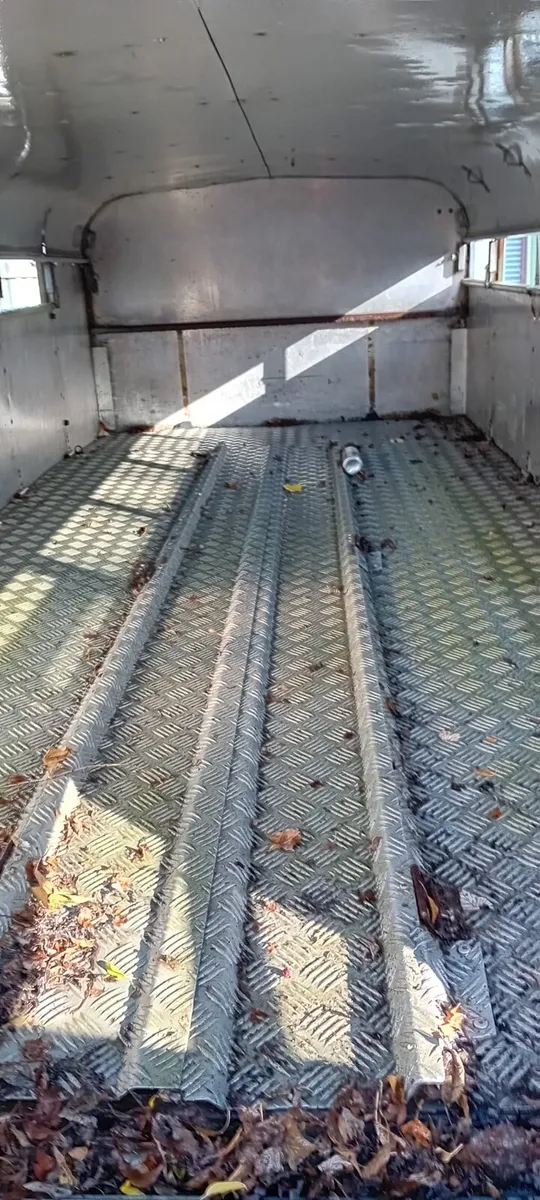 Ivfor Williams 12 by 5 - Image 3