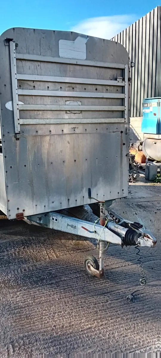 Ivfor Williams 12 by 5 - Image 4