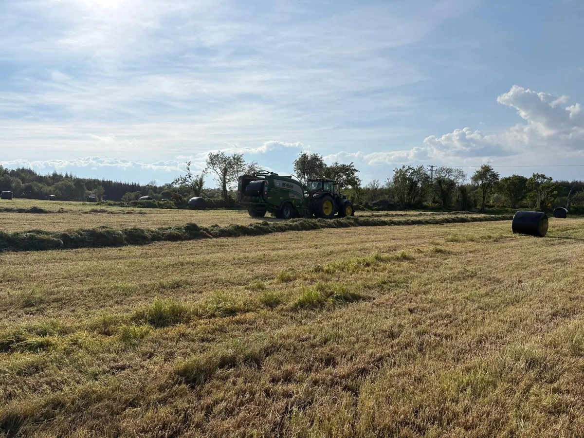 Silage reduced to clear - Image 3
