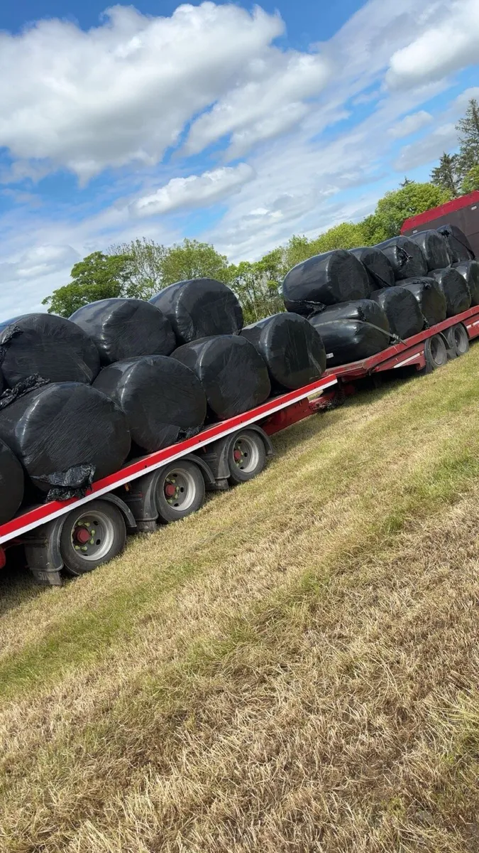 Silage reduced to clear - Image 4