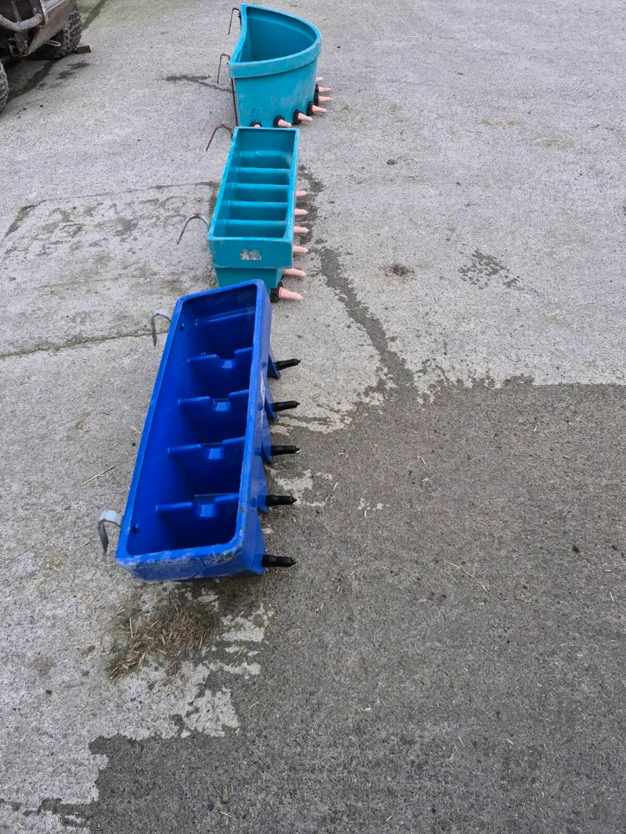 Calf feeders - Image 4