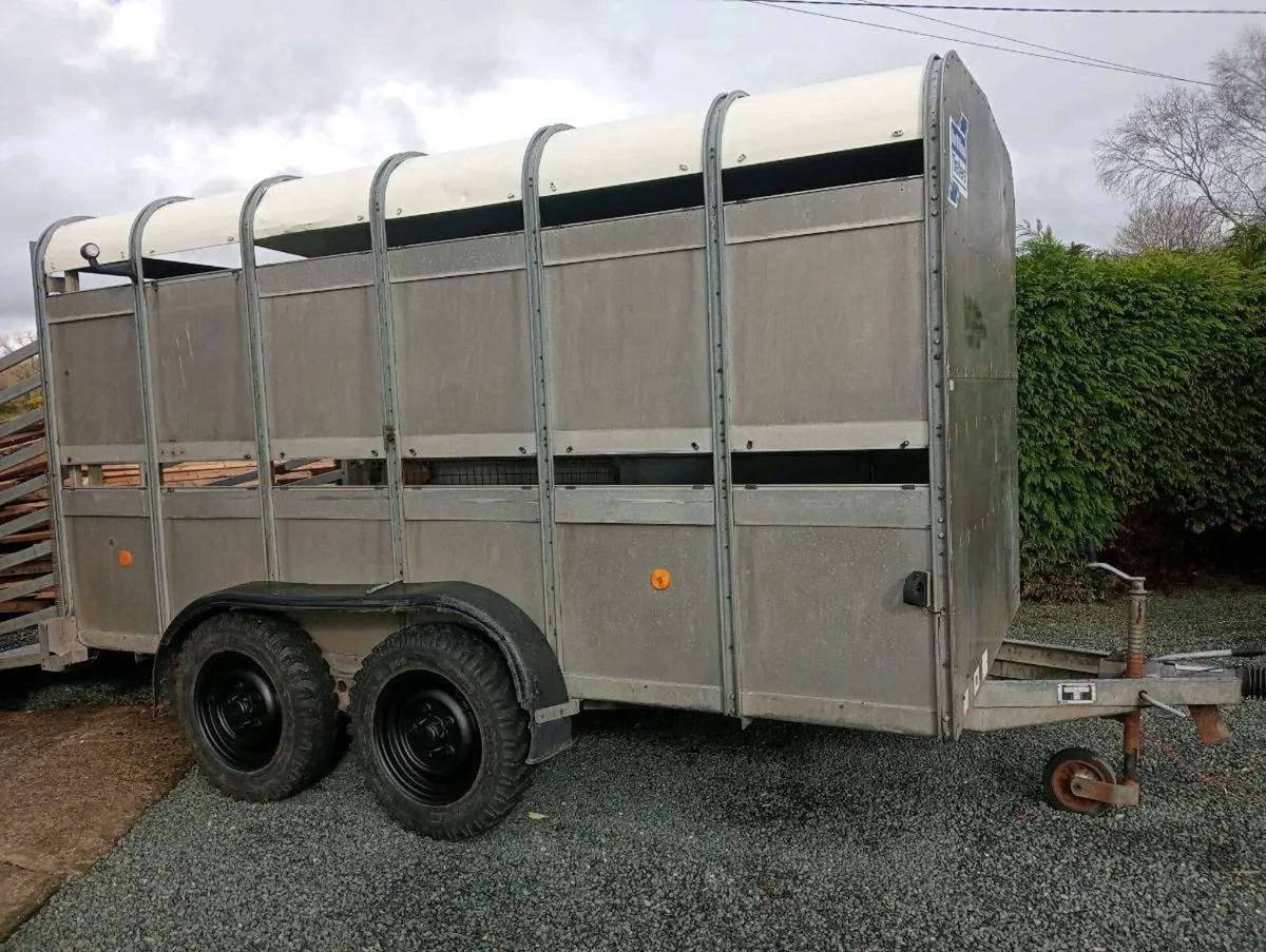 CATTLE TRAILER - Image 1
