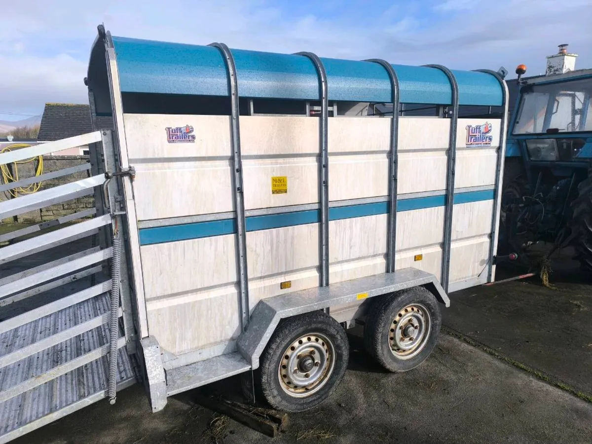 Cattle Box - Image 2