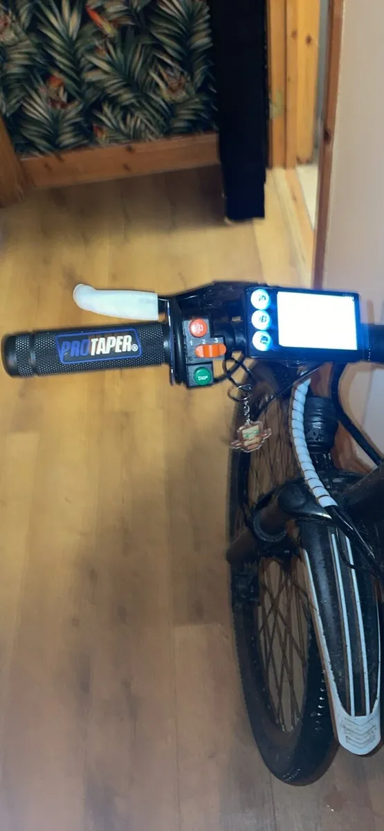 E bike - Image 3