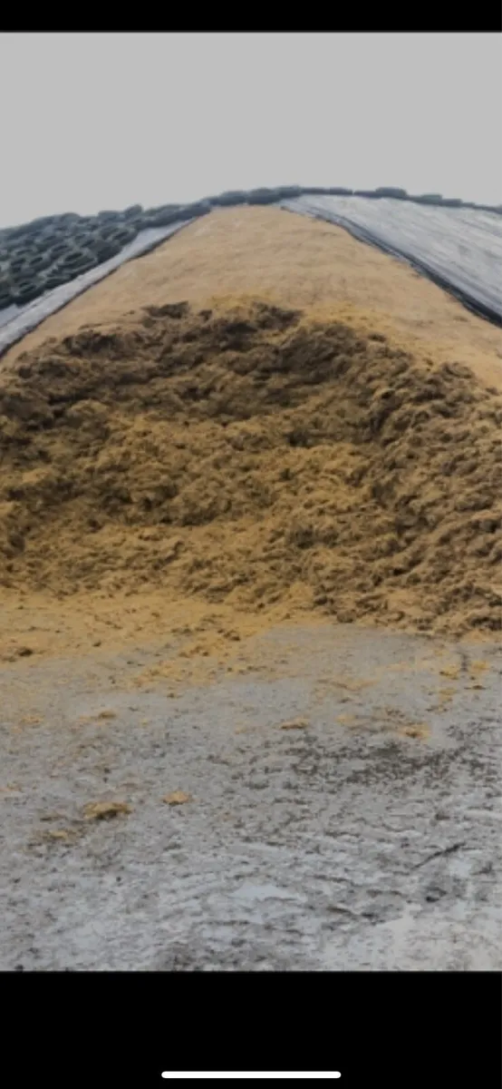 Pit & Bale Silage - Image 2