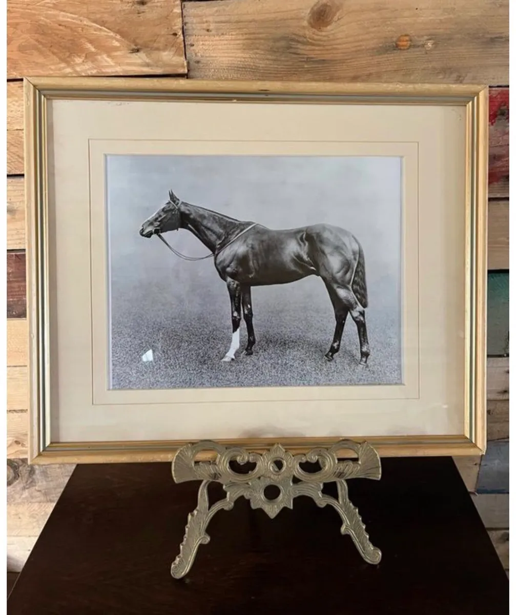 Framed Picture Racehorse Spearmint - Image 1