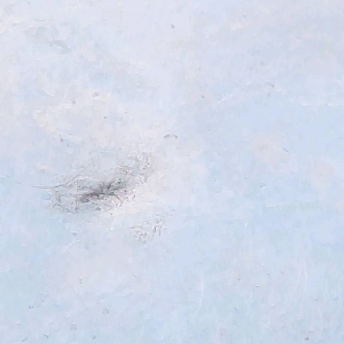 HUGE OCTAGONAL BELCHER, 925 Silver 1930's Locket ! - Image 3