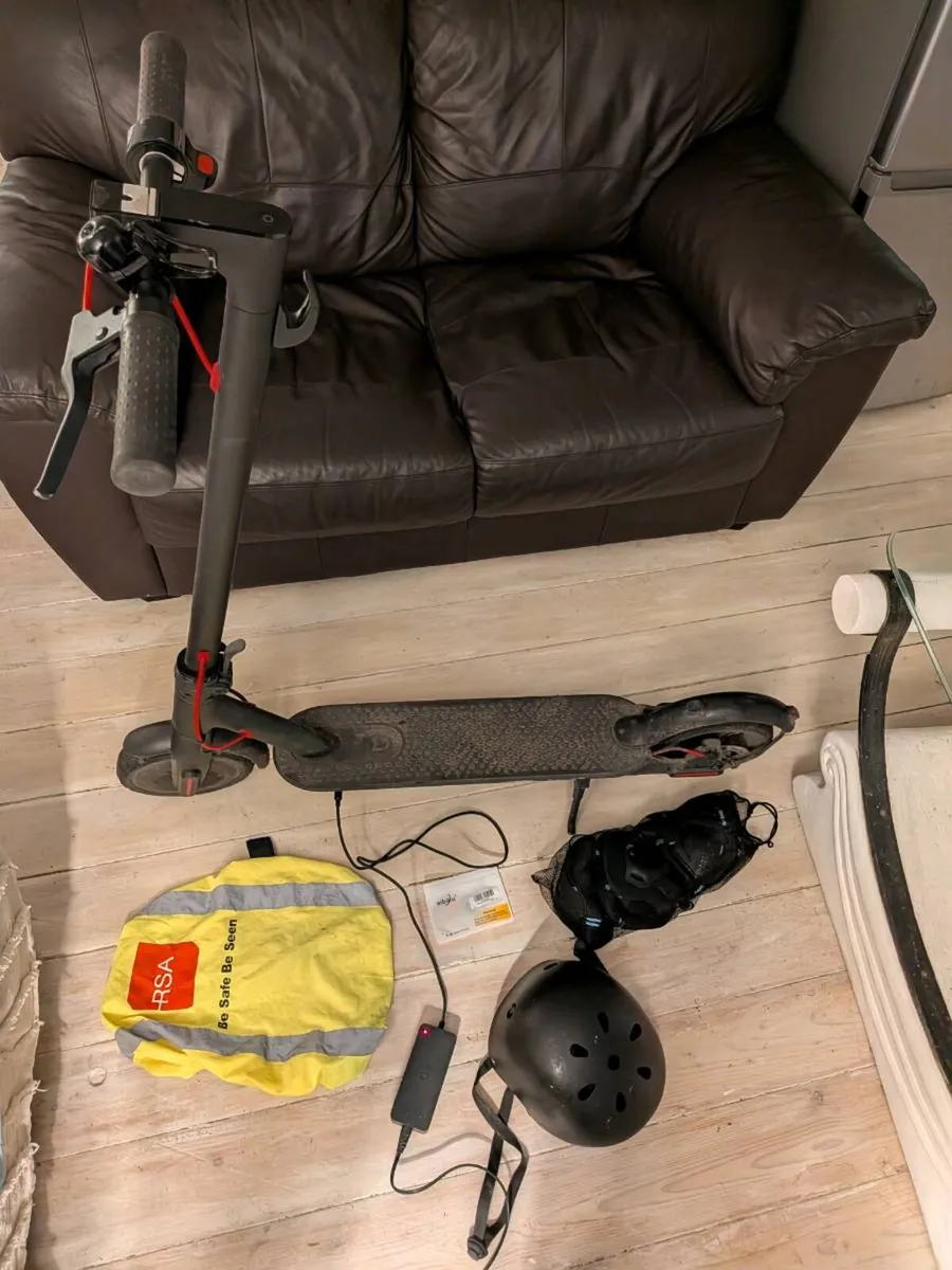 Xiaomi Scooter Mijia 365 Pro (Needs Fixing) - Image 2