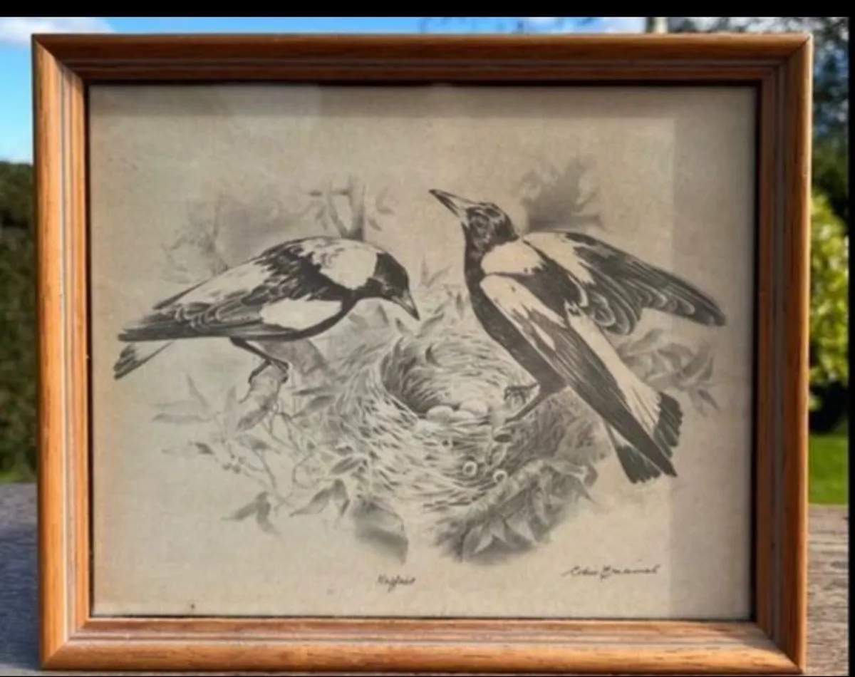 Vintage art of two Magpies - Image 1