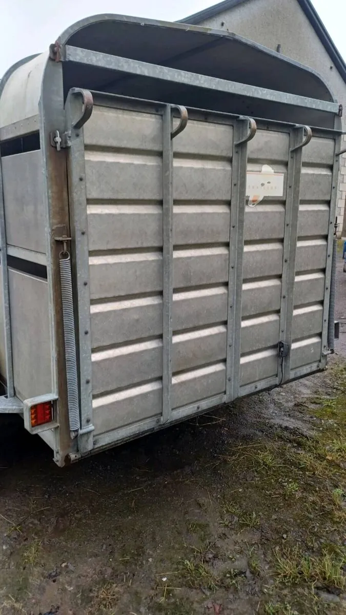 Nugent 12ft  cattle trailer - Image 3