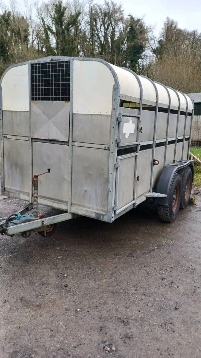 Nugent 12ft  cattle trailer - Image 2