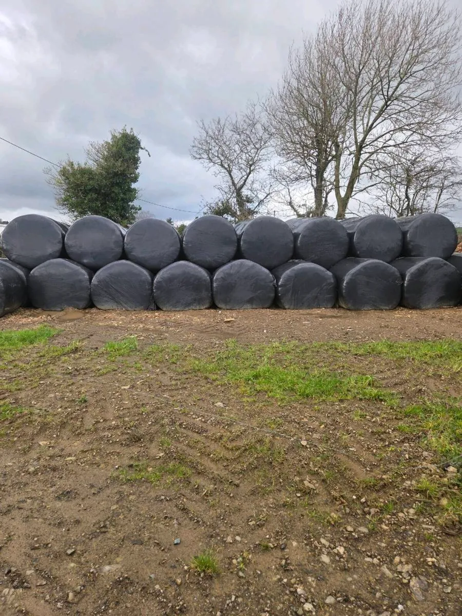 Silage bales - Image 1