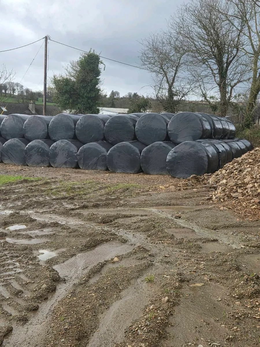 Silage bales - Image 2