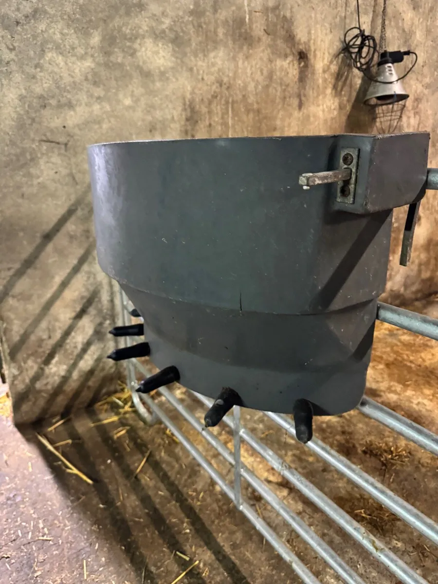 6 teat calf feeder - Image 2