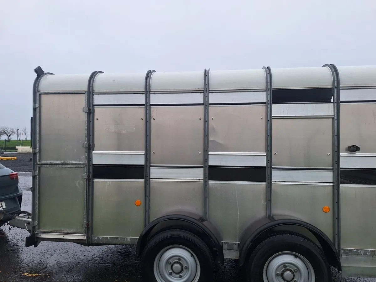 Cattle Trailer - Image 2
