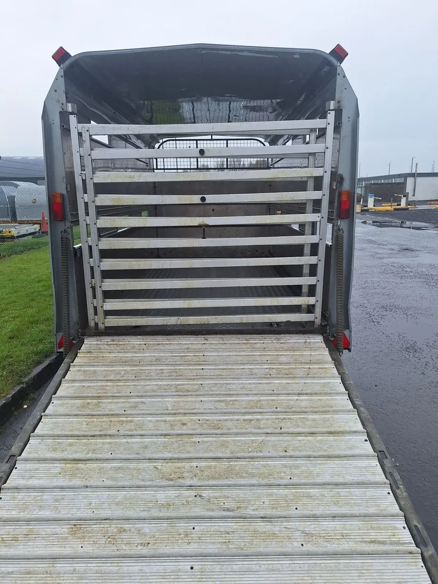 Cattle Trailer - Image 3