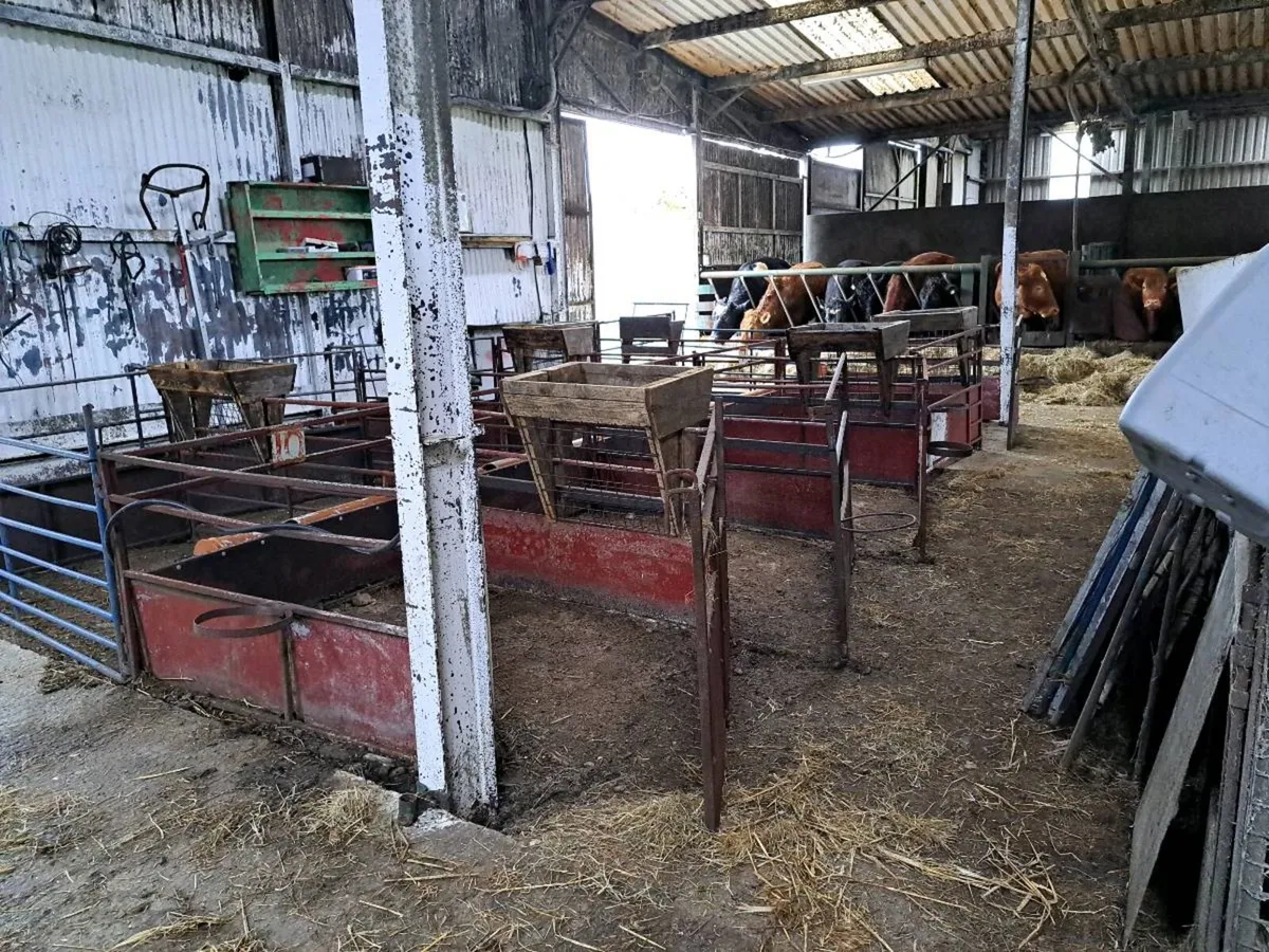 Lambing Pens - Image 4