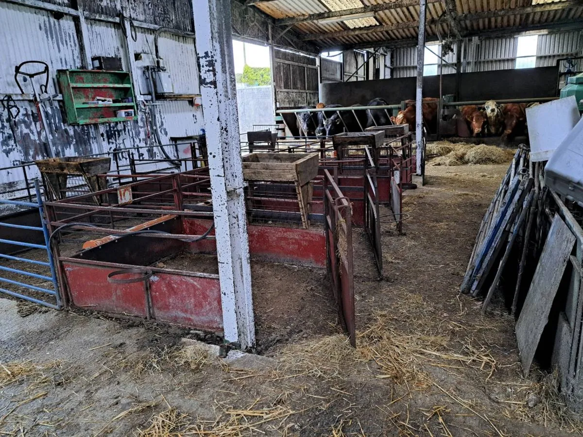Lambing Pens - Image 1