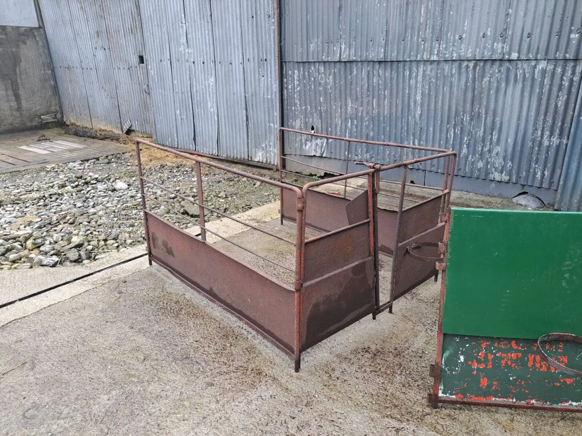 Fostering pens - Image 1