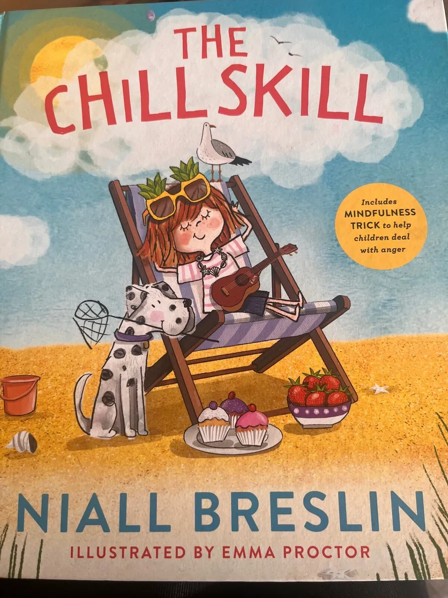 The chill skill  Niall Breslin - Image 1