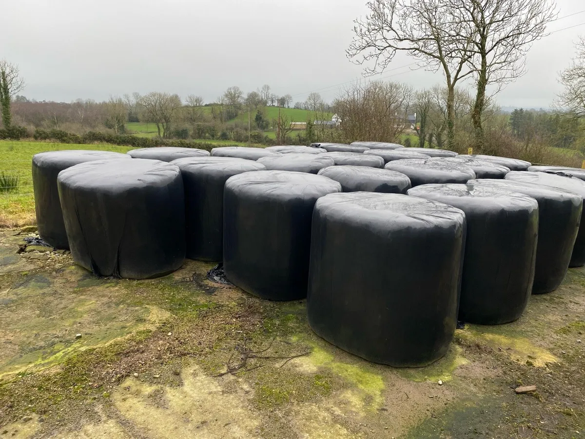 Silage Bales
