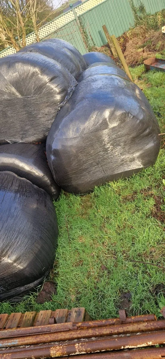 Silage bales - Image 1