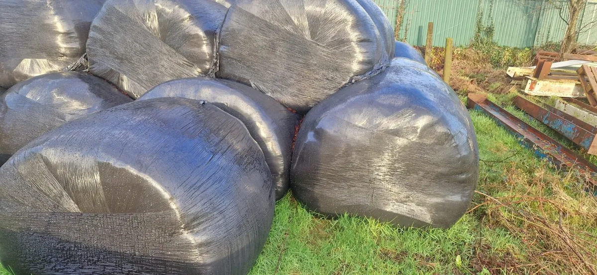 Silage bales - Image 2