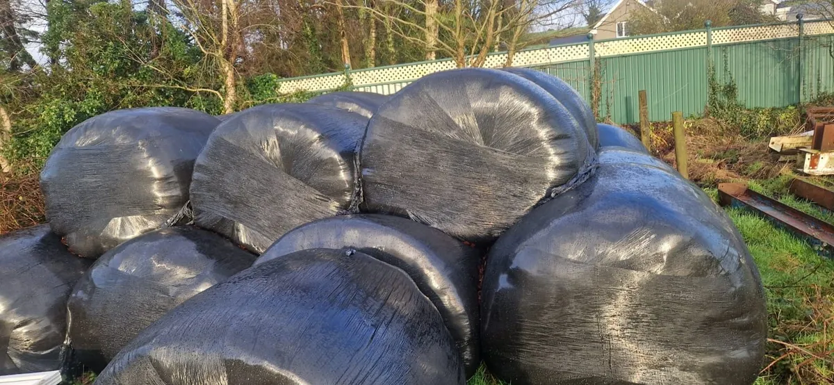 Silage bales - Image 3