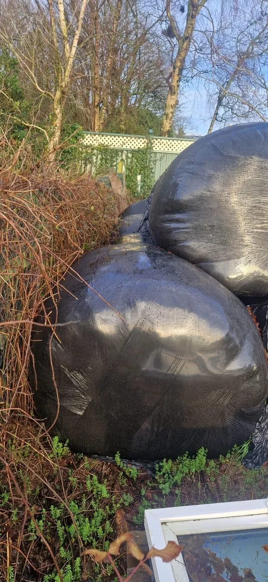 Silage bales - Image 4