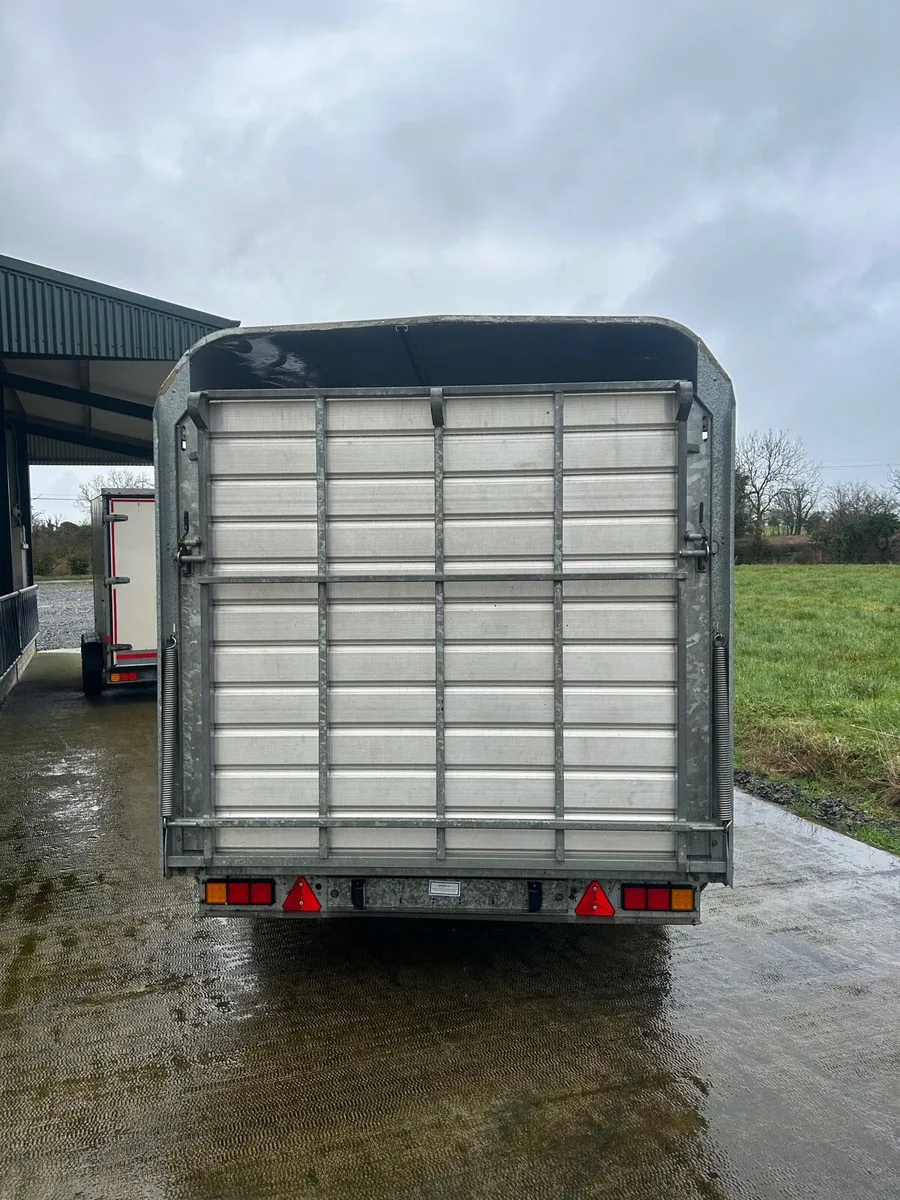 Ifor Williams 12x6’6 - Image 3