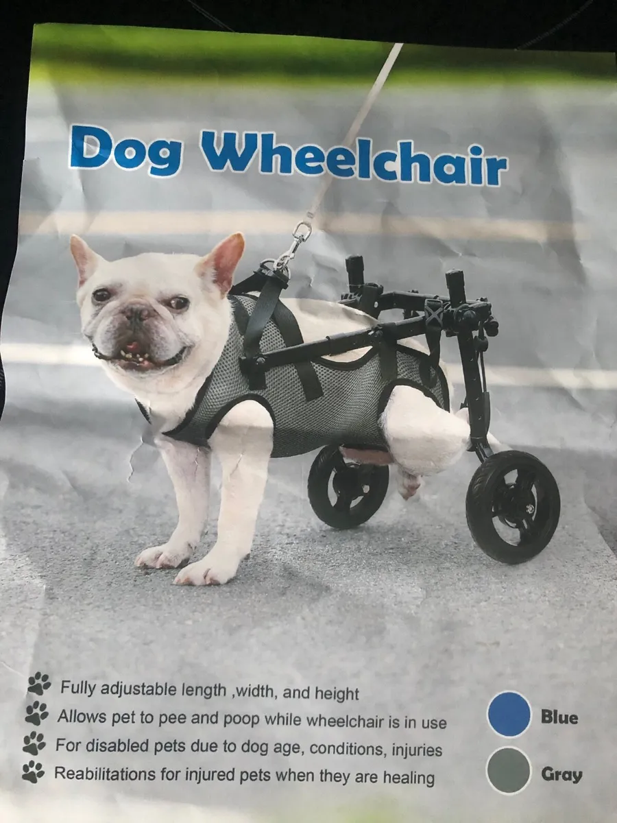 Wheelchair - Image 1
