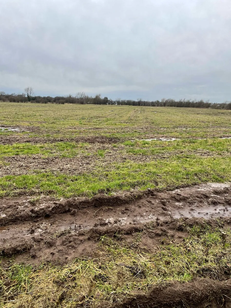 Land wanted for 2026 - Image 1