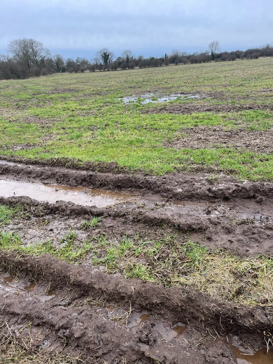 Land wanted for 2026 - Image 2