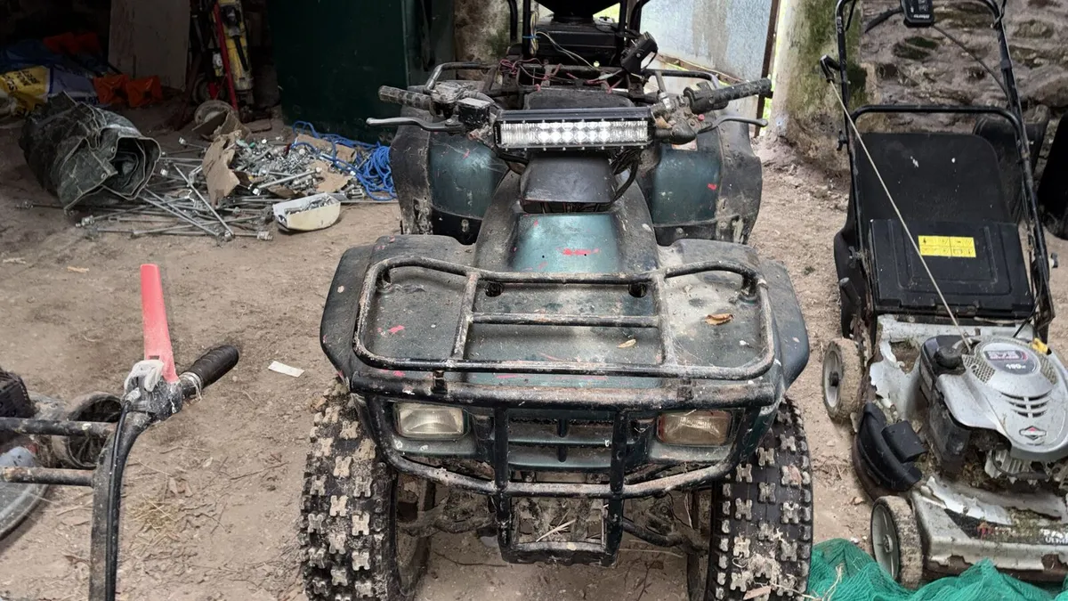 Quad Bike - Image 2